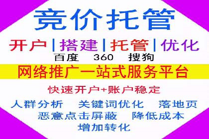 某品牌SEM广告投放的ROI提升案例